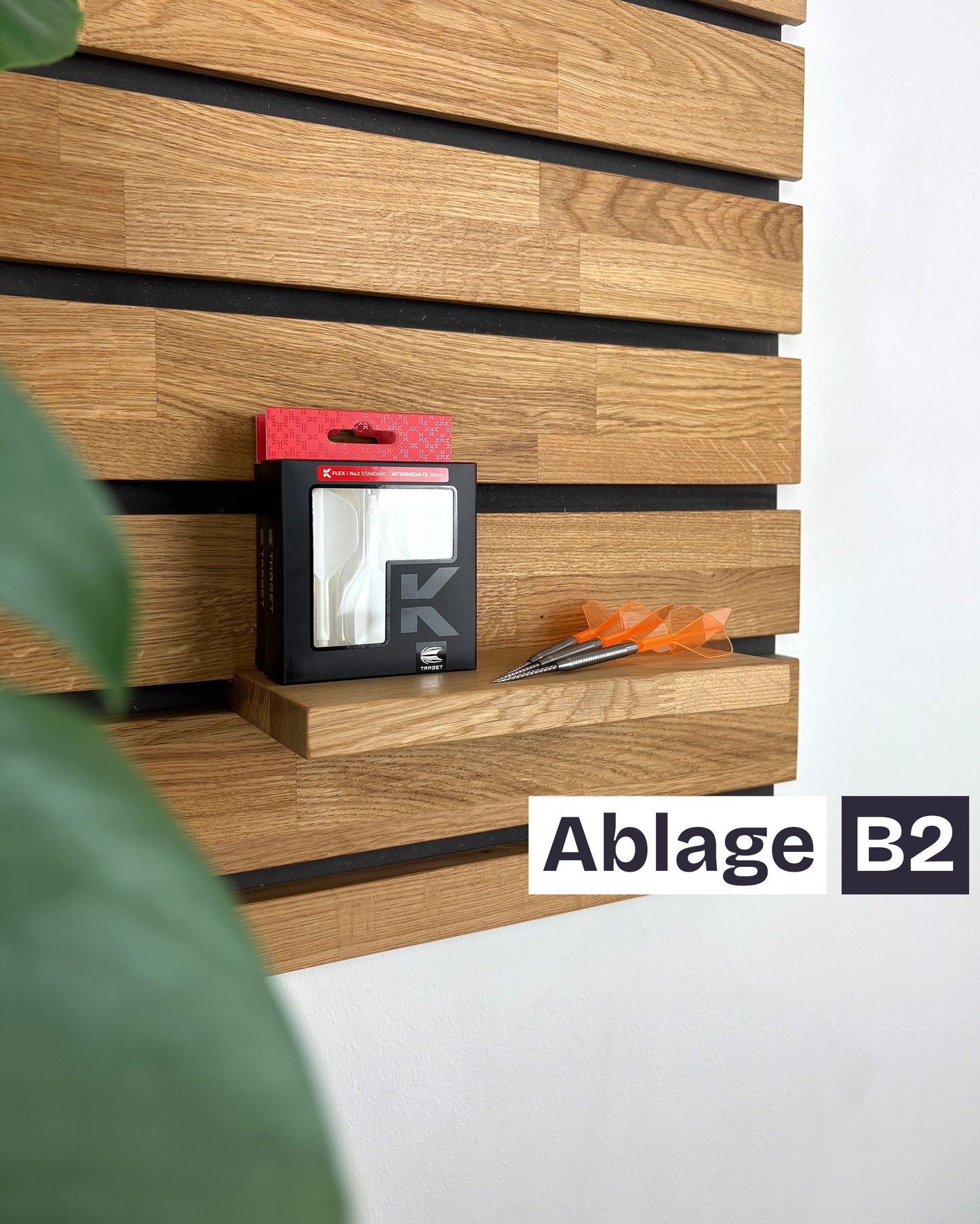 Ablage (B2) für dart-organizer