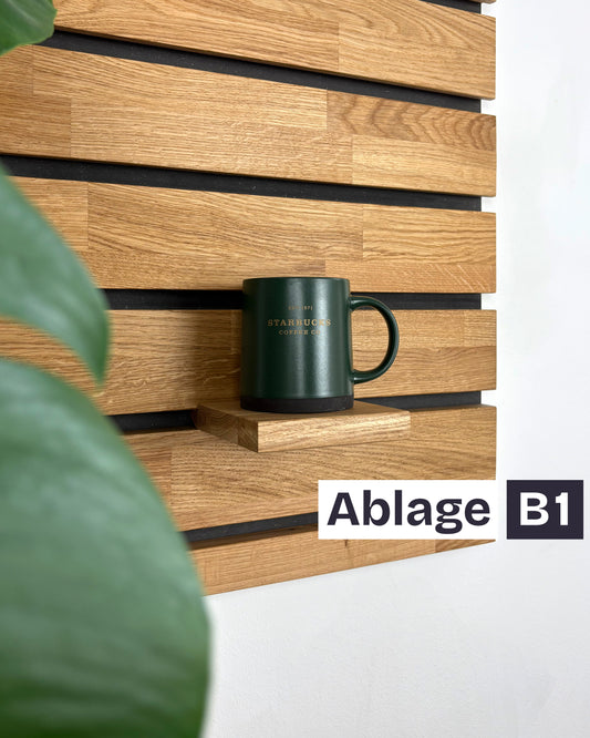 Ablage (B1) für dart-organizer